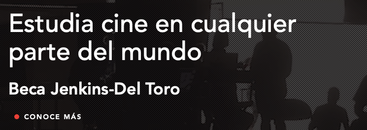 Beca Jenkins – Del Toro