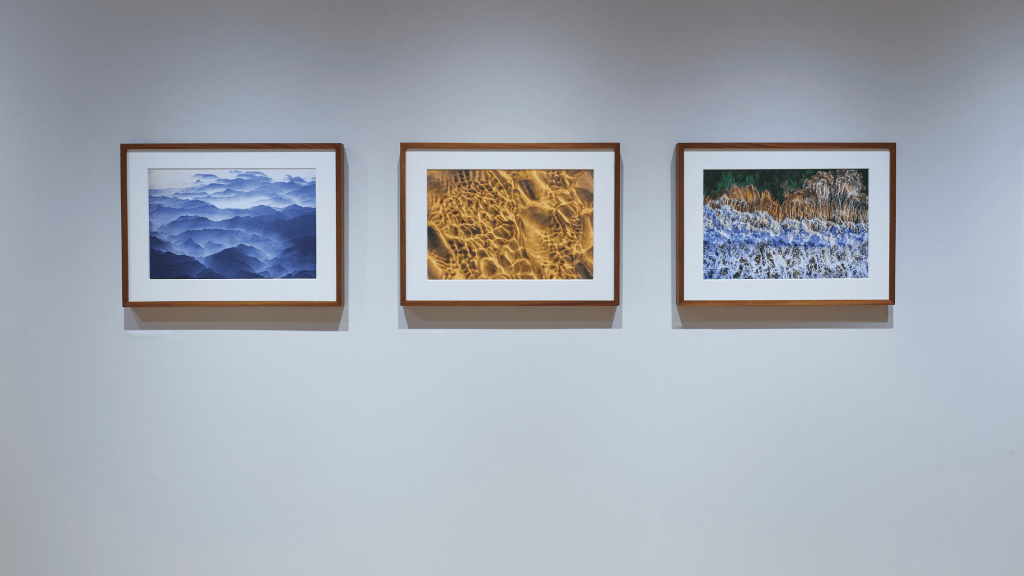 Fotografías de Santiago Arau en el Museo Amparo