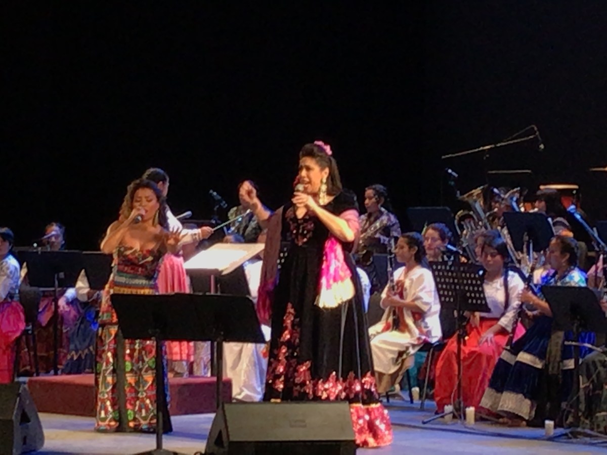 No: gobierno de AMLO no dejó de contratar deuda como afirmó Regina&nbsp;Orozco